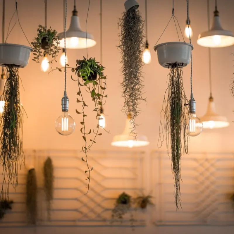 Pendant Light Cluster (3 lights)